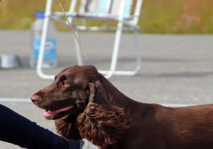 Foto: Denise Curran Fagervik